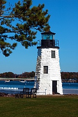 Evergreen Trees By Newport Harbor Light